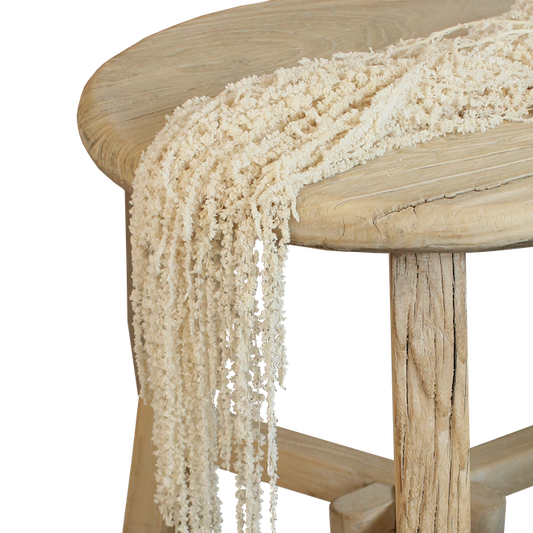 Amaranthus - Hanging - White