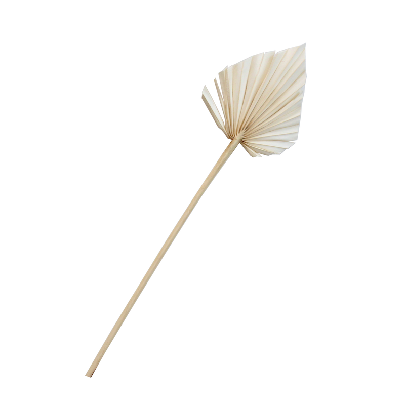 Dried Palm Spear - White