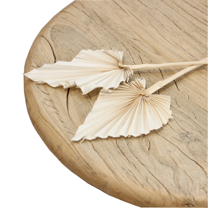 Dried Palm Spear - White